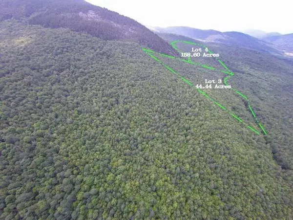 Newry, ME 04261,Lot 4 Bear River Rd, Puzzle Mountain