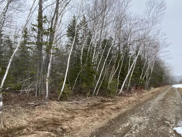 Patten, ME 04765,Lot 10C Crystal Brook RD