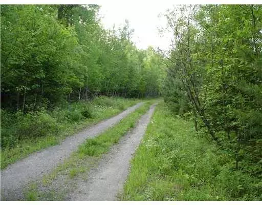 Kingfield, ME 04947,TBD  Lot 1 Iron Bridge RD