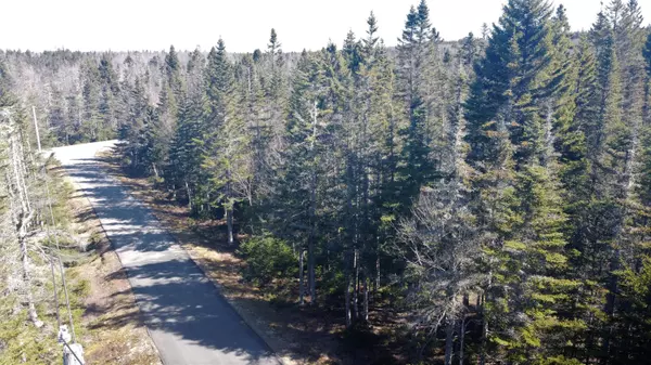 Machiasport, ME 04655,60 Yoho Head RD