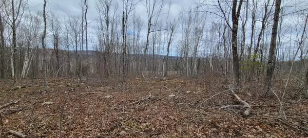 Liberty, ME 04949,000 Crie Hill RD