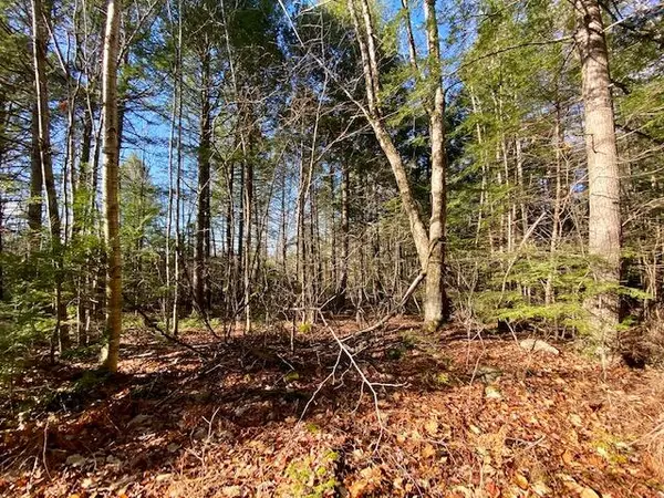 Parsonsfield, ME 04047,0 Hobbs Swamp