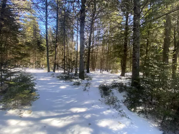 Orland, ME 04472,57 Dennis RD