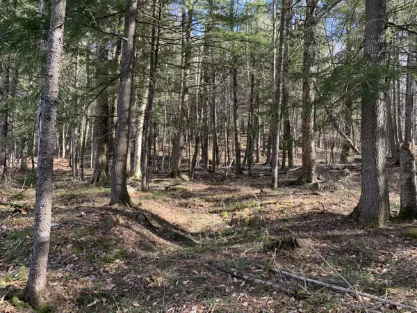 Newry, ME 04261,Lot 8 Valley View Drive
