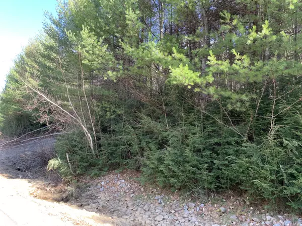 Newry, ME 04261,Lot 8 Valley View Drive
