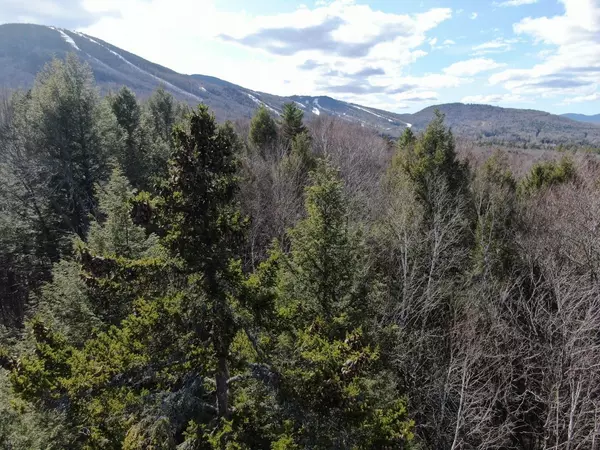 Newry, ME 04261,Lot 8 Valley View Drive