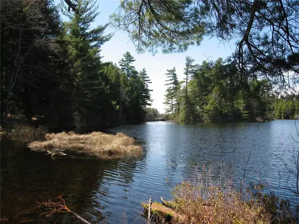 Liberty, ME 04949,5 Trillium WAY