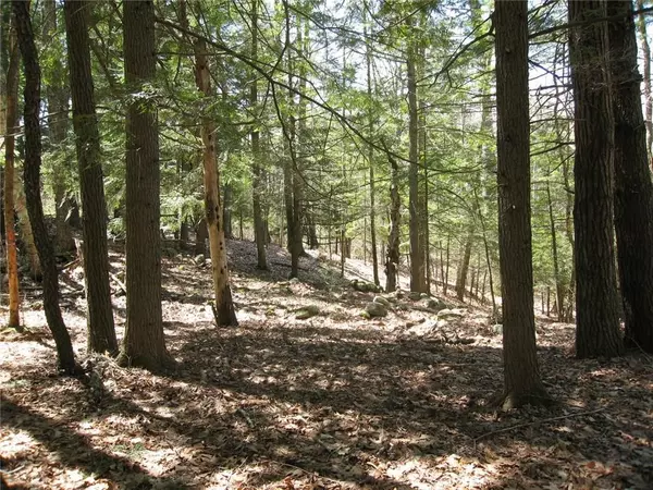 Liberty, ME 04949,5 Trillium WAY