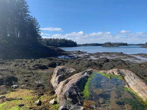 Lot 11 Nutter Cove, Lubec, ME 04652