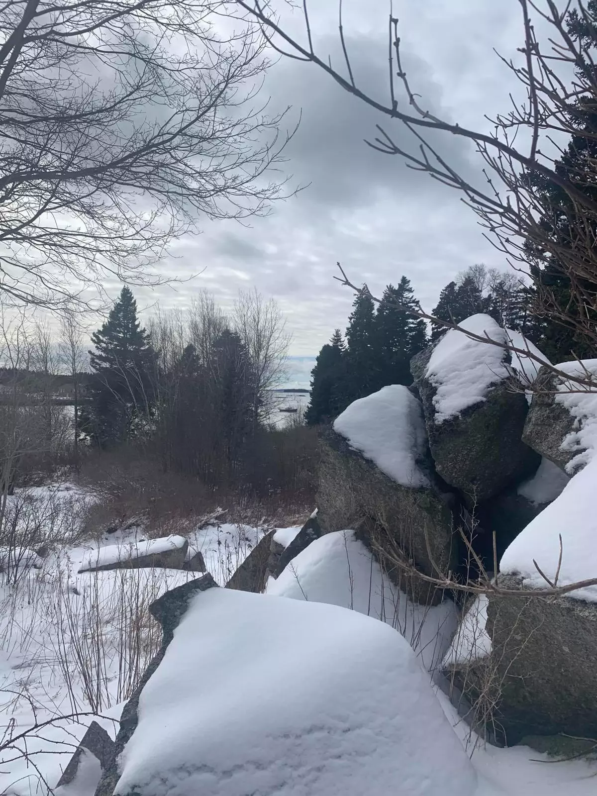 Stonington, ME 04681,47 Greenhead Lane LN