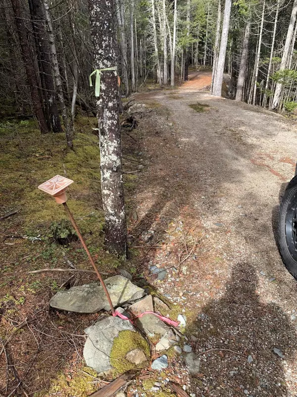 Winter Harbor, ME 04693,28 Ledge LN