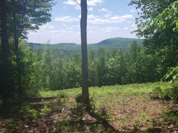 Lot #2 David RD, Waterford, ME 04088