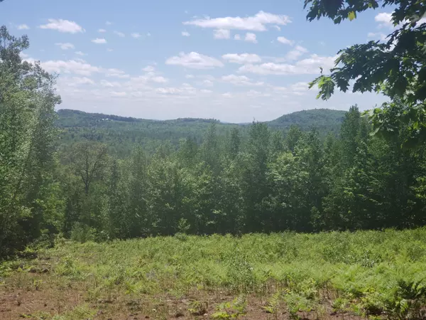 Waterford, ME 04088,Lot #2 David RD