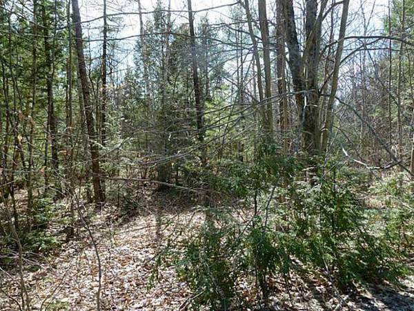 Lot 2 Pinewood LN, Harrison, ME 04040