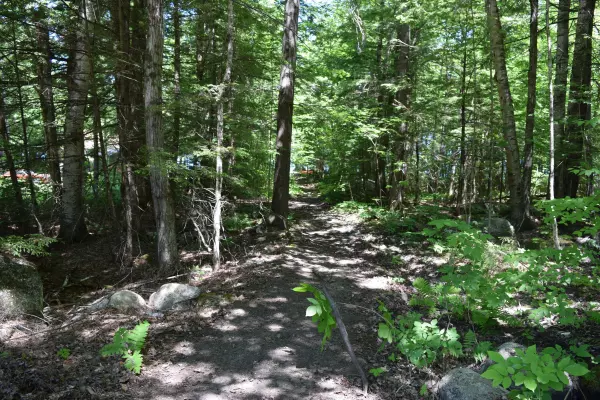 Poland, ME 04274,0 Loon Point LN