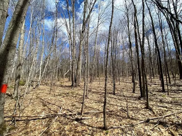 Wilton, ME 04294,TBD Magrath RD