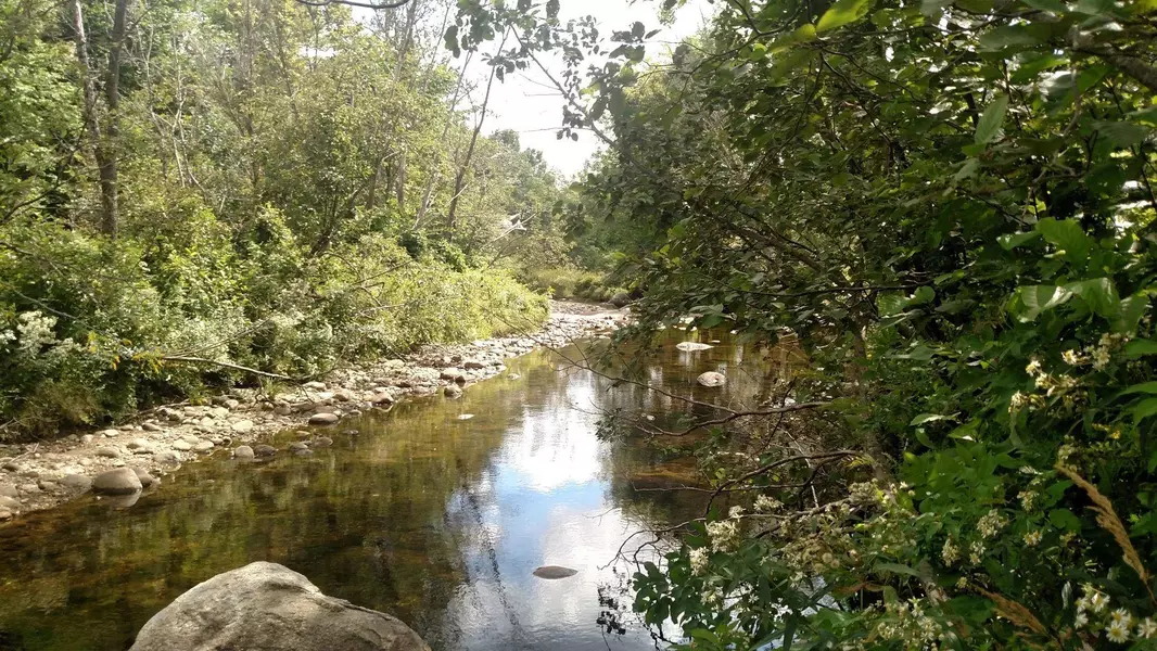 Lot 1 Runahan RD, Andover, ME 04216