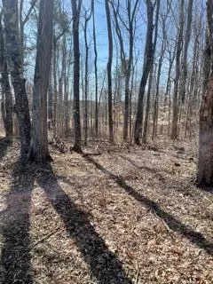Litchfield, ME 04350,Lot 22A Hallowell RD