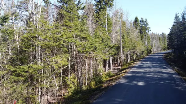 Machiasport, ME 04655,89 Yoho Head RD