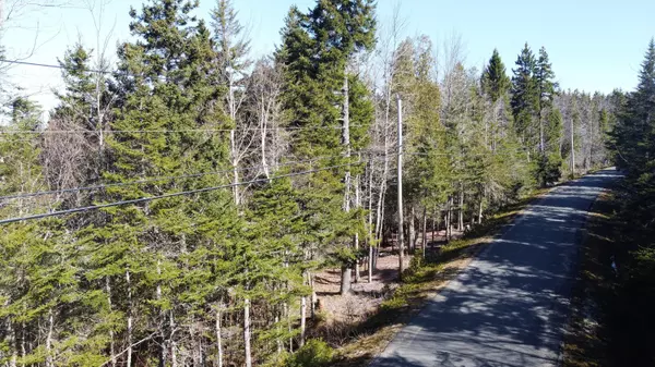 Machiasport, ME 04655,89 Yoho Head RD