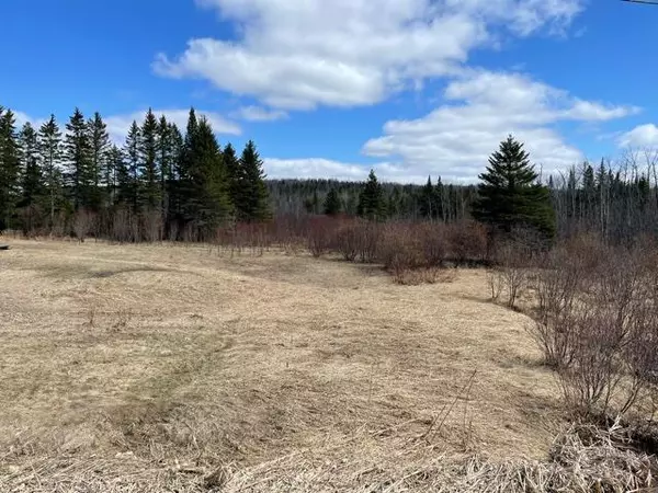 Portage Lake, ME 04768,2868 Portage RD