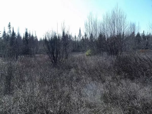 M5A L7 Sherman Hill RD, Robbinston, ME 04671