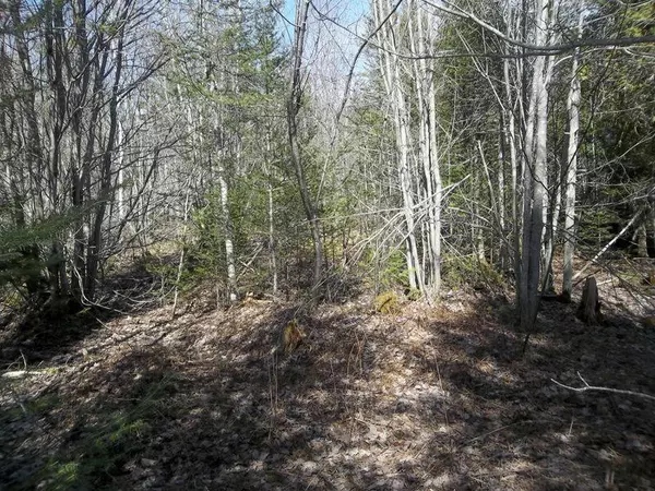 Robbinston, ME 04671,M5A L7 Sherman Hill RD