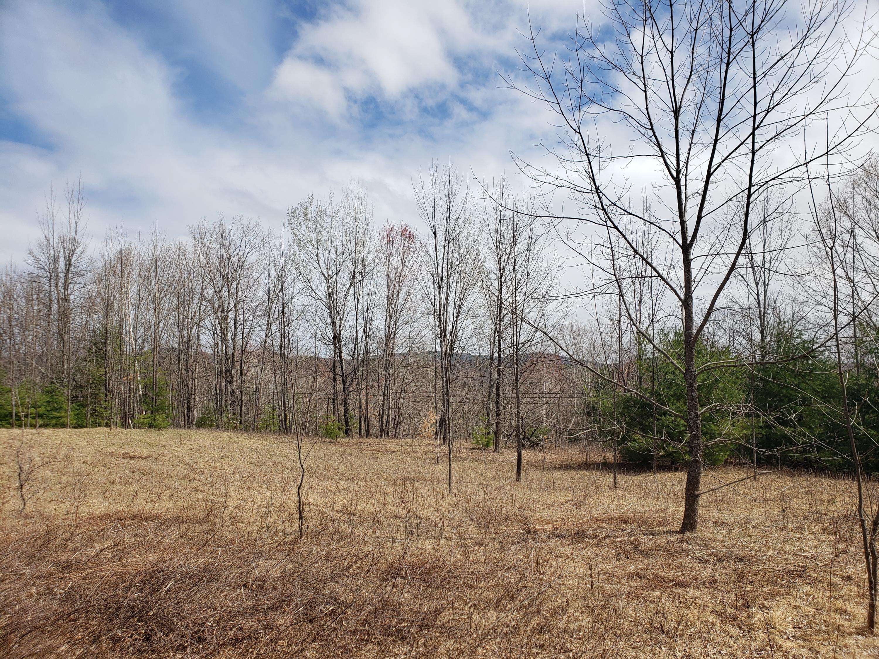 Lot 15 Sokokis TRL N, Limerick, ME 04048