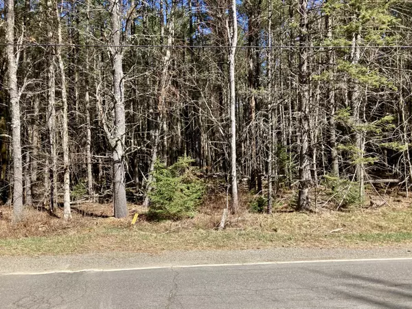 Map4/Lot6 E Newport RD E, Stetson, ME 04488