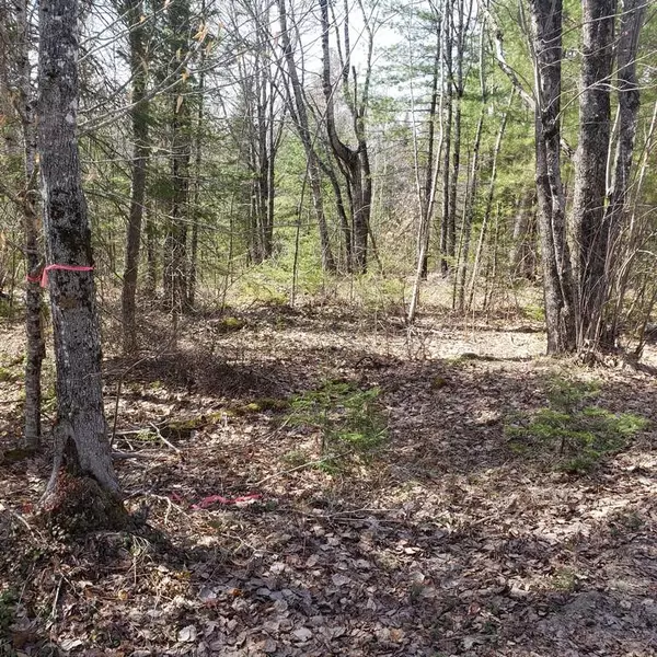 Lot 53-8 Cardville RD, Greenbush, ME 04418