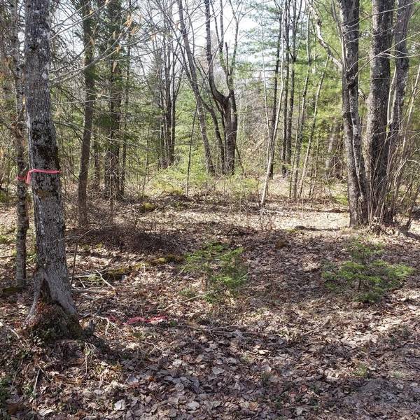 Lot 53-8 Cardville RD, Greenbush, ME 04418