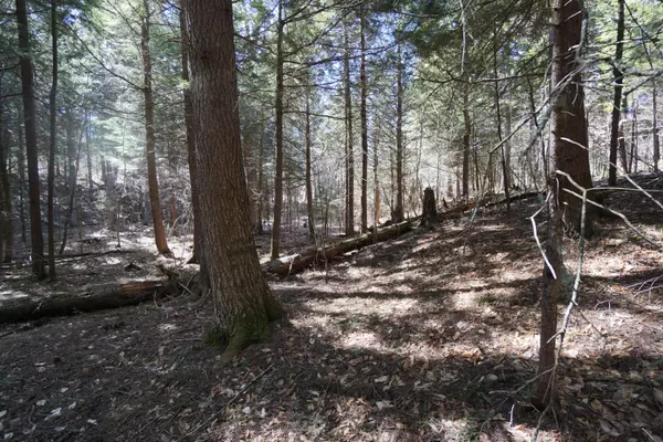 Beaver Cove, ME 04441,00 Moose Lane