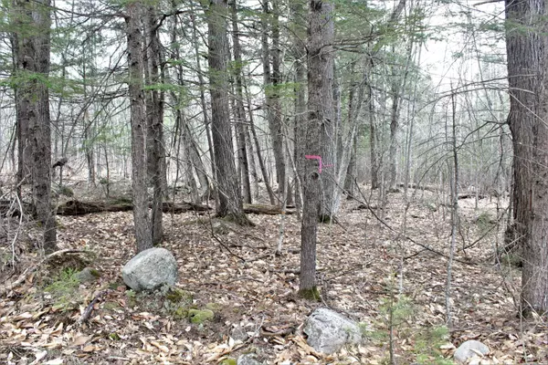 0 Haleytown, Fryeburg, ME 04037