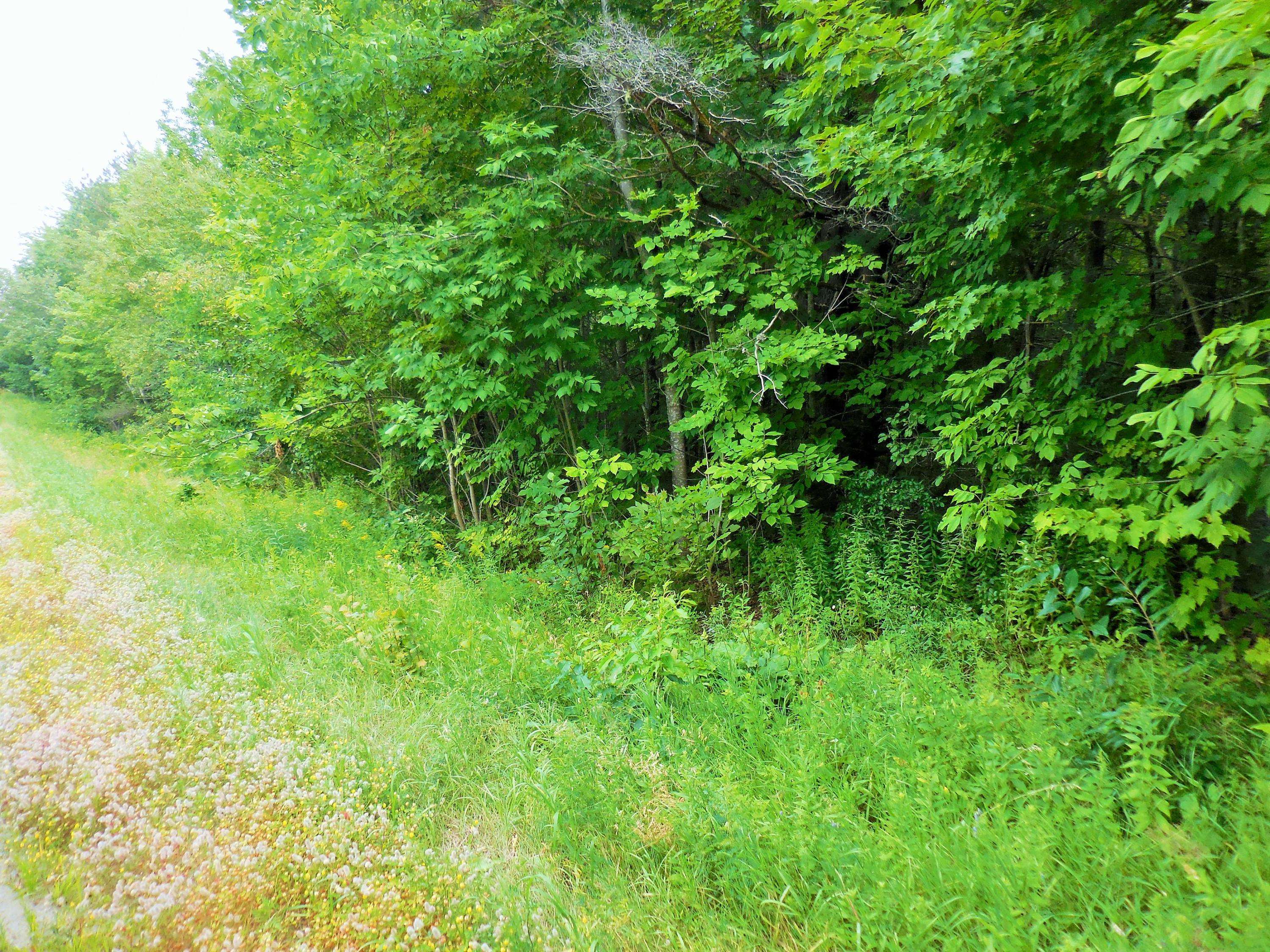 M3 L19 Church Hill Rd, Dixmont, ME 04932