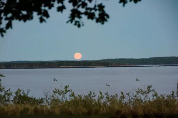 Machiasport, ME 04655,150 Clarks Point RD