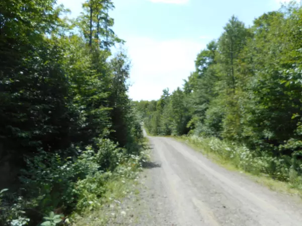 Lee, ME 04455,TBD Skunk Hill RD