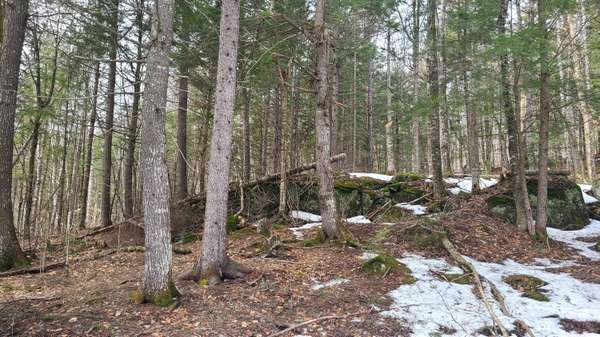 Linneus, ME 04730,Lot 9 Winter RD