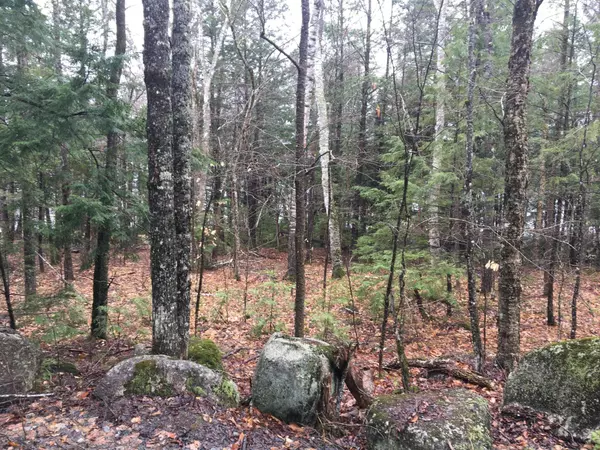 Saint Albans, ME 04971,Lot 6 Pond RD