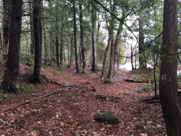 Saint Albans, ME 04971,Lot 6 Pond RD