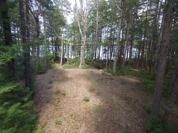 Lakeville, ME 04487,TBD Lot 13-2 Deer Run RD