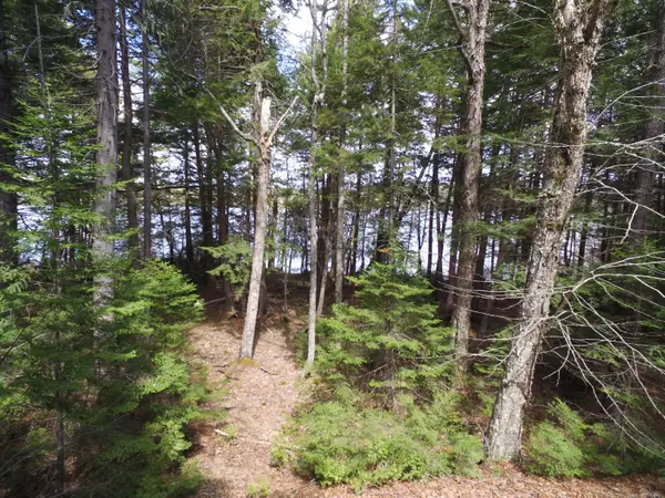 Lakeville, ME 04487,TBD Lot 13-2 Deer Run RD