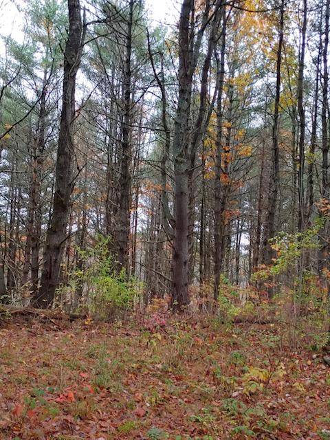 70-1 Pickerel Point RD, Winslow, ME 04901