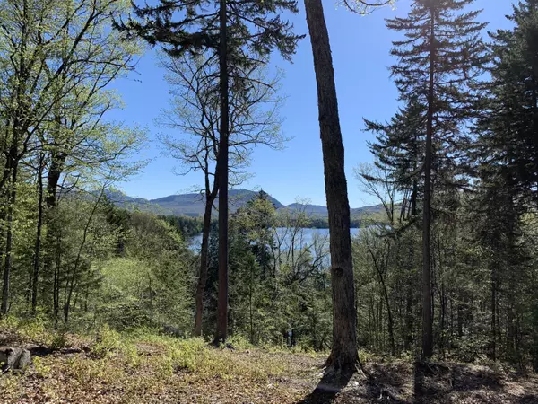 517 Scammon RD, Greenville, ME 04441