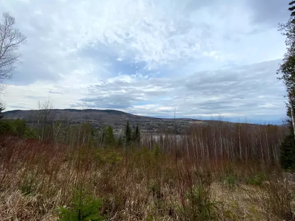 Sandy River Plt, ME 04970,11D Winston RD
