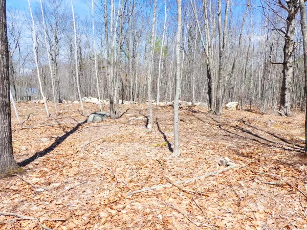 Naples, ME 04055,0 Dunton RD