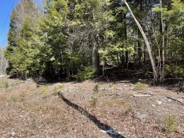 Northfield, ME 04654,00 Two Lakes DR #31