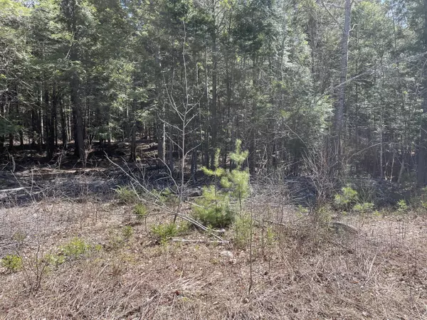 Northfield, ME 04654,00 Two Lakes DR #32