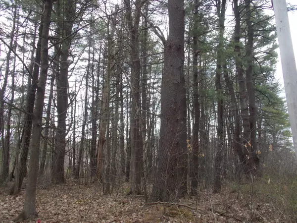 Portland, ME 04103,0 Tarbell AVE