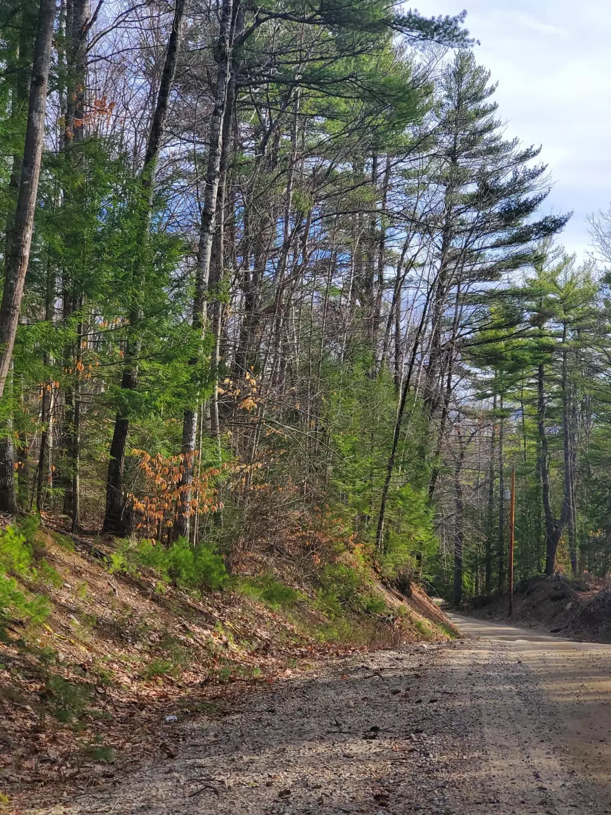Parsonsfield, ME 04047,06 Lost Mile RD