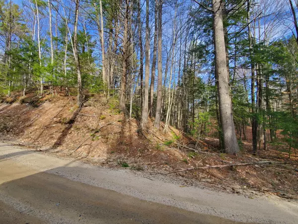 Parsonsfield, ME 04047,7 Lost Mile RD